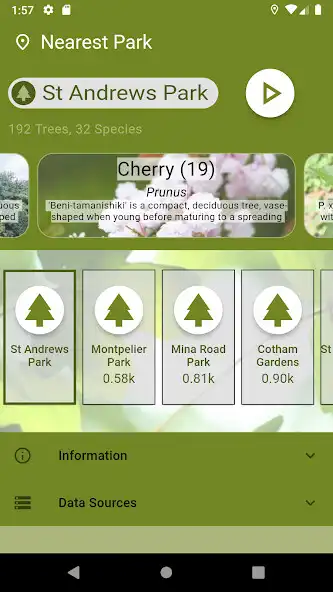 Play Park Trees  and enjoy Park Trees with UptoPlay