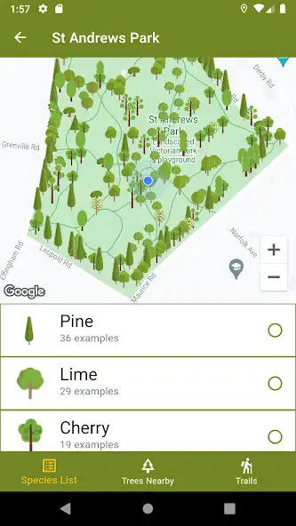 Play Park Trees as an online game Park Trees with UptoPlay