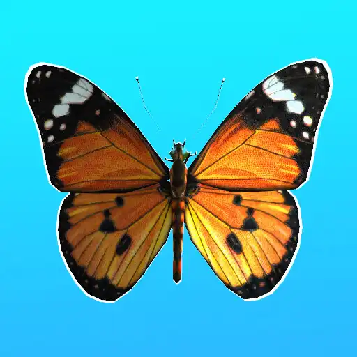 Play Paro Paro G APK