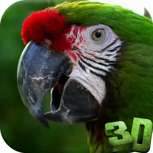 Free play online Parrot 3D Video Live Wallpaper APK