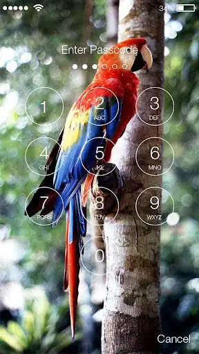 Play Parrot Ara Lock Screen as an online game Parrot Ara Lock Screen with UptoPlay