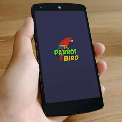 Play Parrot Bird