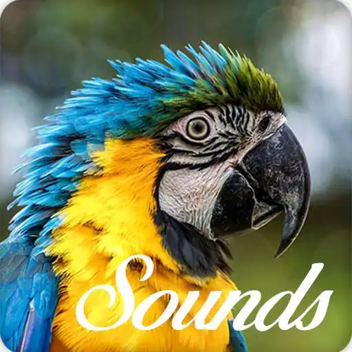 Play Parrot Bird Song Sounds and Ringtone Audio APK