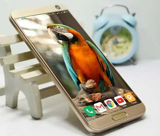 Play Parrot Bird Wallpaper and enjoy Parrot Bird Wallpaper with UptoPlay Play Parrot Bird Wallpaper and enjoy Parrot Bird Wallpaper with UptoPlay