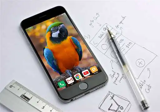 Play Parrot Bird Wallpaper as an online game online Parrot Bird Wallpaper with UptoPlay com.andromo.dev623844.app691823 Play Parrot Bird Wallpaper as an online game Parrot Bird Wallpaper with UptoPlay