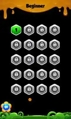 Play Parrot Hexagon Puzzle