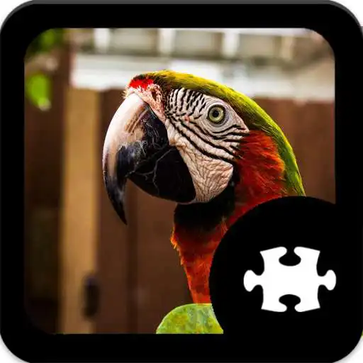 Play Parrot Jigsaw Puzzle APK