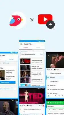 Play ParrotPlayer - Learn languages with videos