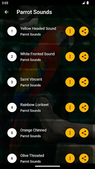 Play Parrot Ringtones Sounds as an online game online Parrot Ringtones Sounds with UptoPlay Play Parrot Ringtones Sounds as an online game Parrot Ringtones Sounds with UptoPlay