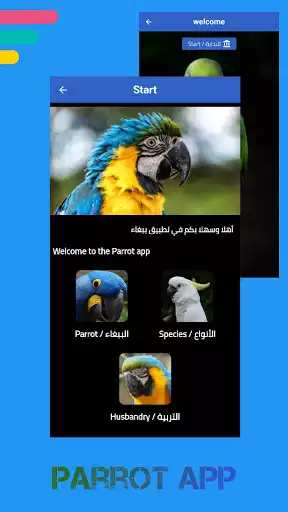 Play Parrot  and enjoy Parrot with UptoPlay