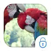 Free play online Parrots Live Theme APK