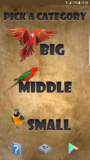 Play Parrot Sounds as an online game Parrot Sounds with UptoPlay