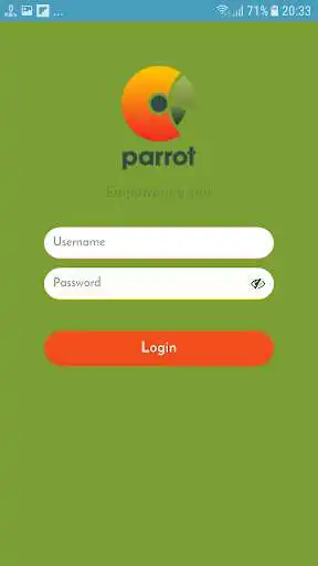 Play Parrot Team Play Parrot Team
