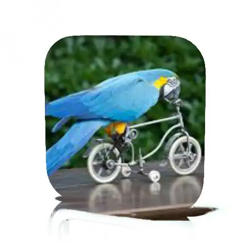 Play Parrot Tricks APK