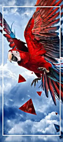 Play Parrot Wallpaper Full HD  and enjoy Parrot Wallpaper Full HD with UptoPlay