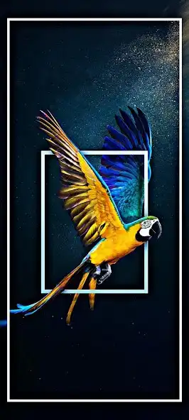 Play Parrot Wallpaper Full HD as an online game Parrot Wallpaper Full HD with UptoPlay