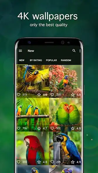 Play Parrot Wallpapers PRO  and enjoy Parrot Wallpapers PRO with UptoPlay