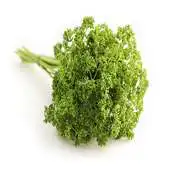 Free play online Parsley For Health APK