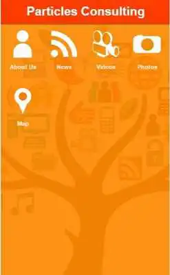 Play Particles Consulting
