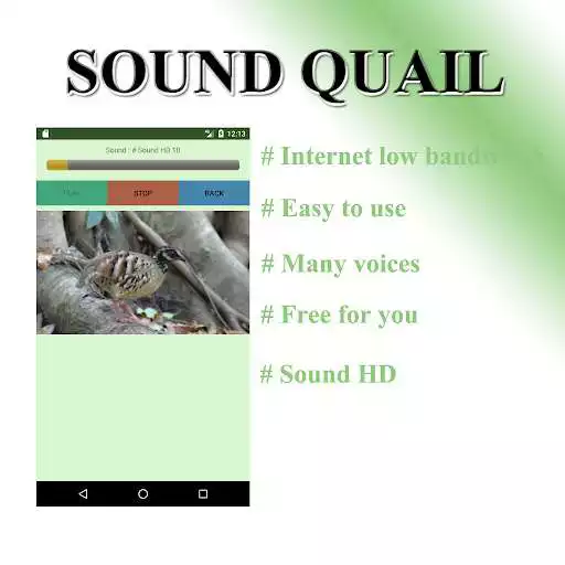 Play Partridge sound to birds. as an online game Partridge sound to birds. with UptoPlay