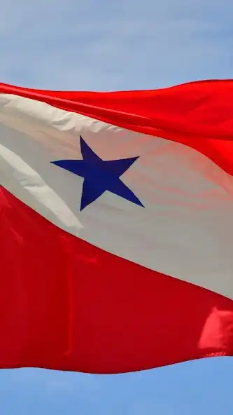 Play Pará Wallpaper and enjoy Pará Wallpaper with UptoPlay Play Pará Wallpaper and enjoy Pará Wallpaper with UptoPlay