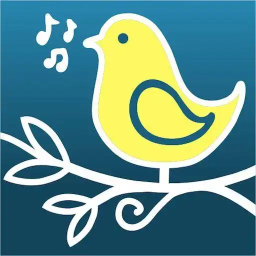 Play Pasar Burung APK