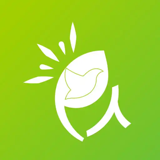 Play PASB Online APK Play PASB Online APK