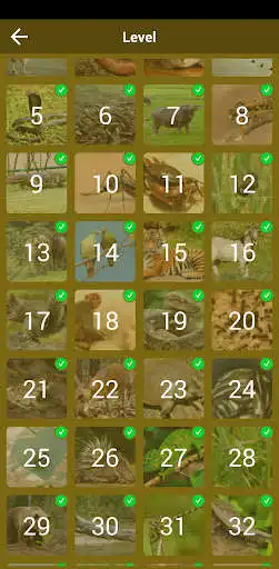 Play Paser Quiz  and enjoy Paser Quiz with UptoPlay