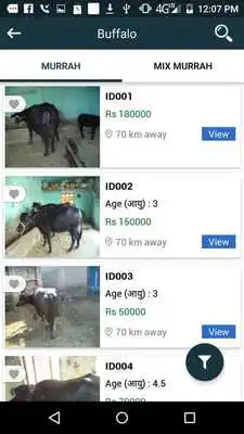 Play Pashu App
