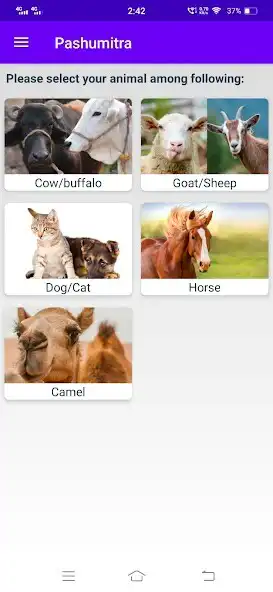 Play Pashumitra as an online game Pashumitra with UptoPlay