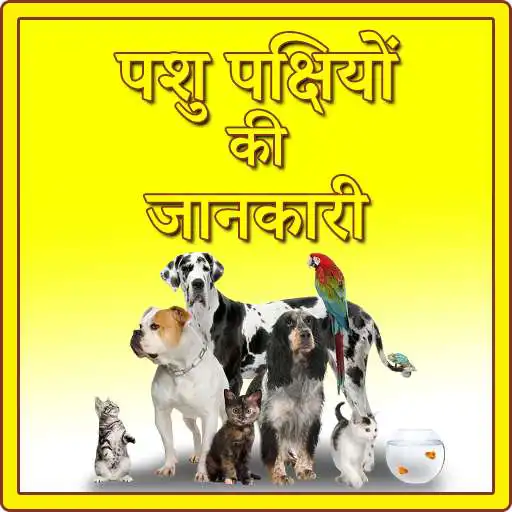 Play Pashu Pakshio ki jankariya APK Play Pashu Pakshio ki jankariya APK