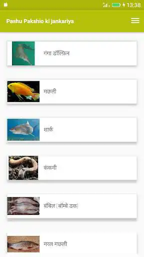 Play Pashu Pakshio ki jankariya as an online game Pashu Pakshio ki jankariya with UptoPlay