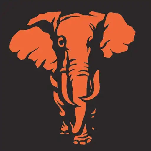 Play Passage to India North Shields APK Play Passage to India North Shields APK