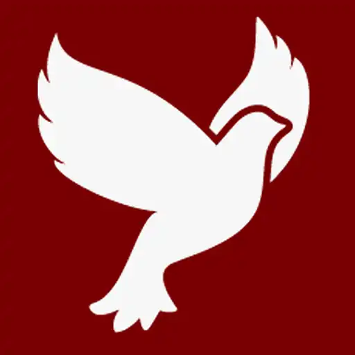 Play Passport - Project Mercy APK