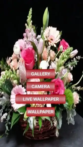 Play Pastel Floral Wallpaper  and enjoy Pastel Floral Wallpaper with UptoPlay