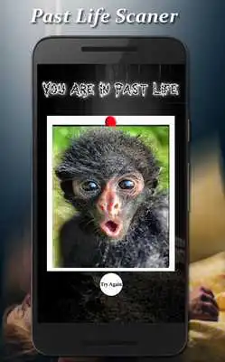 Play Past Life Scaner