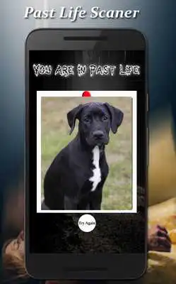 Play Past Life Scaner