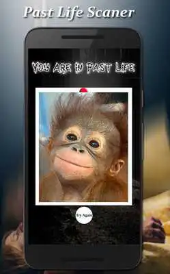 Play Past Life Scaner