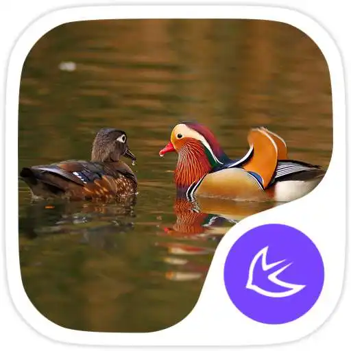 Play Pastoral life theme for APUS APK Play Pastoral life theme for APUS APK