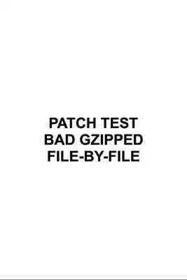Play Patch Bad Gzipped FileByFile