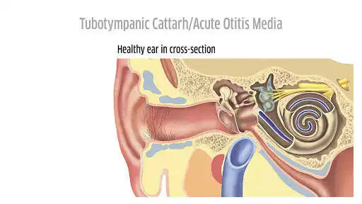 Play Patient Education Institute and enjoy Patient Education Institute with UptoPlay Play Patient Education Institute and enjoy Patient Education Institute with UptoPlay