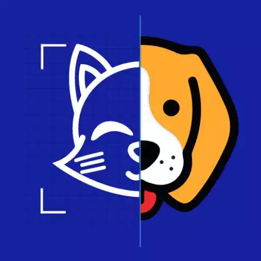 Play Patte - Find Lost Pets by Face Recognition APK