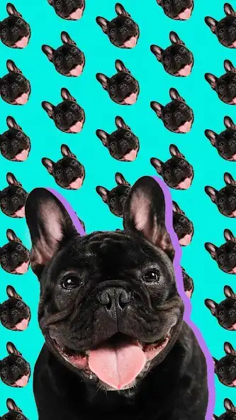 Play Patternator: Wallpaper Editor as an online game Patternator: Wallpaper Editor with UptoPlay