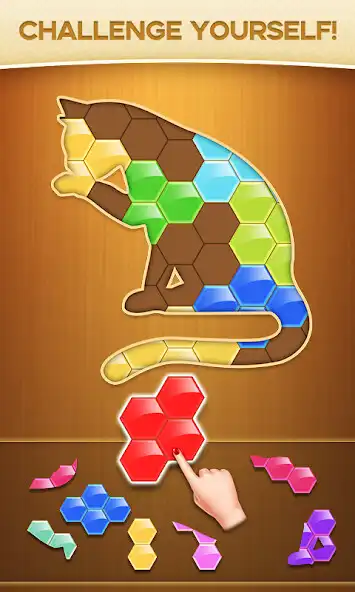 Play Pattern Blocks  and enjoy Pattern Blocks with UptoPlay