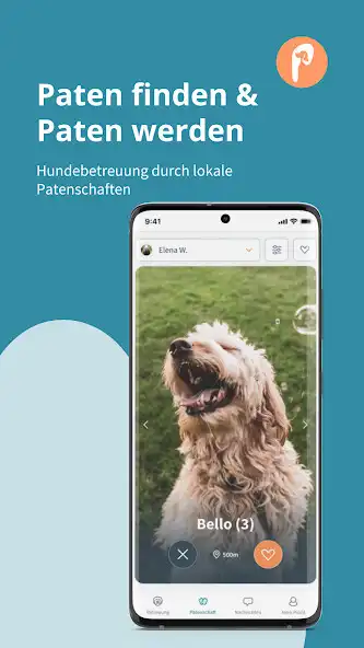 Play Patzo - Find Dog Buddies as an online game Patzo - Find Dog Buddies with UptoPlay