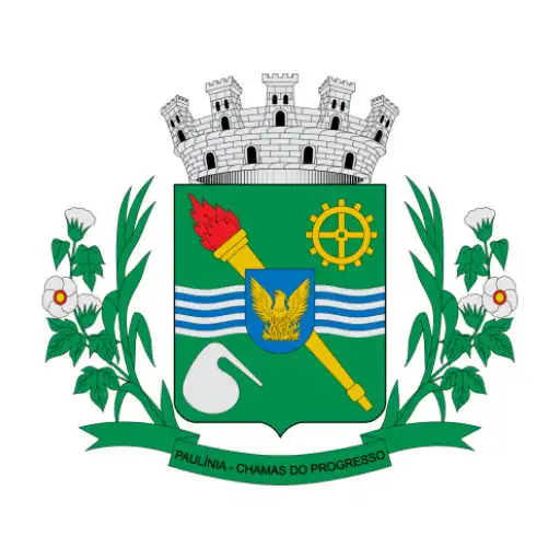 Play Paulínia IP APK