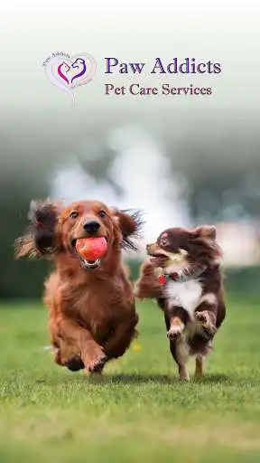 Play Paw Addicts Pet Care Services as an online game Paw Addicts Pet Care Services with UptoPlay