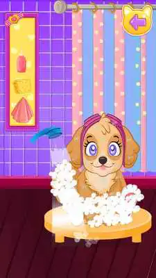 Play Paw Beauty Salon
