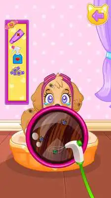 Play Paw Beauty Salon