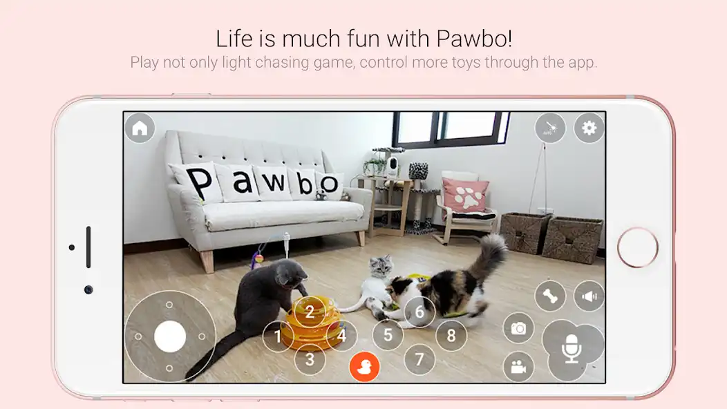 Play Pawbo Life as an online game Pawbo Life with UptoPlay